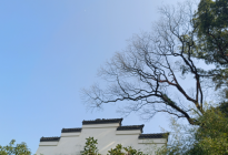 望仙谷風光系列